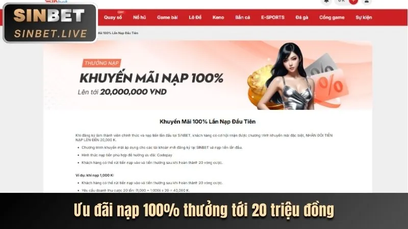 Hình ảnh lợi ích khi đăng nhập newba5